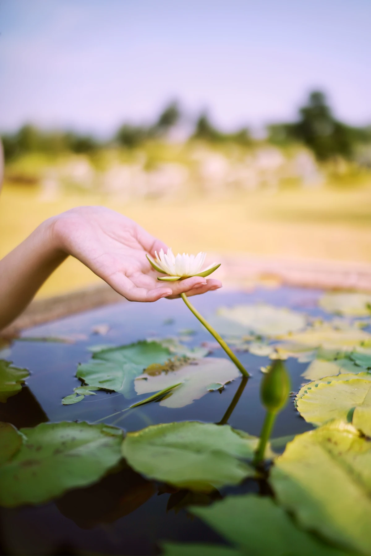 [YITUYU] 2023.01.04 Vol.2833 – The joy of lotus pond rings#[34P]-29