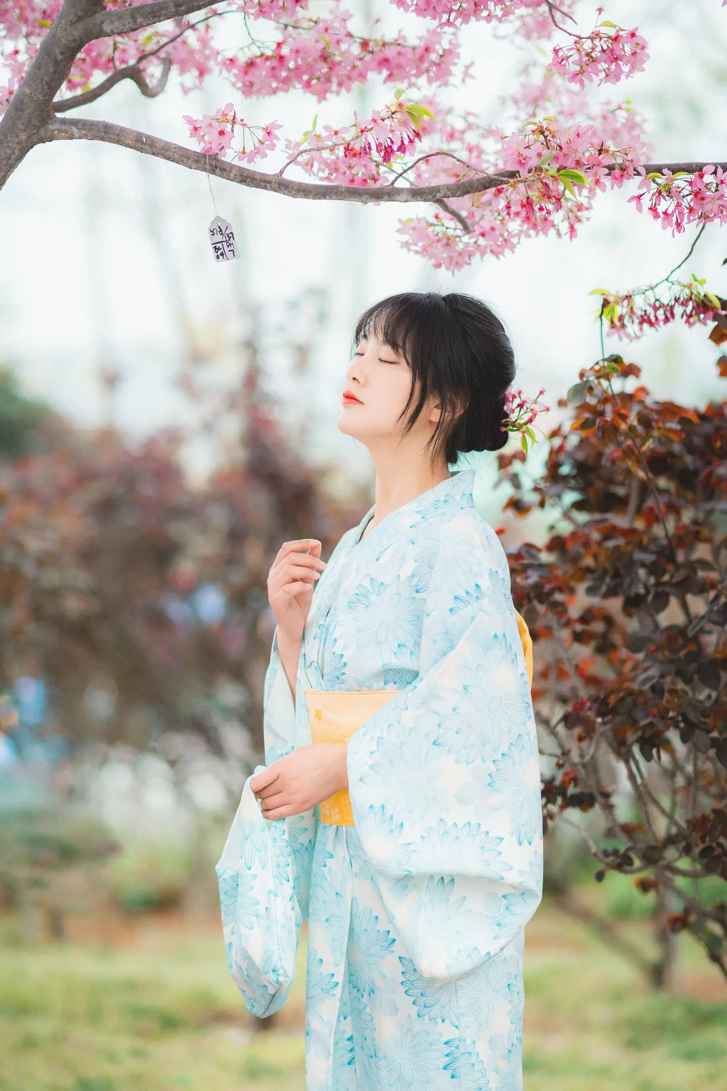 [YITUYU] 2022.11.19 Vol.2478 – Under the Sakura Tree Meimei who loves taking photos#[23P]-16